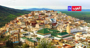 لرباط – باريس – العرب تيفي  ثم  أمس الثلاثاء بدار المغرب في باريس، تقديم كتاب جماعي حول مولاي ادريس زرهون يحمل عنوان (Les amoureux de Moulay Idriss Zerhoun)، بحضور ثلة من الباحثين والجامعيين والمؤرخين.وفق ما أفادته وكالة المغرب العربي للأنباء . وهذا الكتاب، الصادر شهر ماي 2024 والمخصص بالكامل لمدينة مولاي إدريس زرهون، هو ثمرة مساهمات حوالي خمسة عشر كاتبا وفنانا ورساما وشاعرا شغوفا. ويستكشف العمل الجوانب المتعددة لمدينة غنية بالتاريخ وآسرة بجمالها.