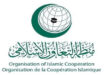 لرباط – العرب تيفي المغربية – محمد بلغريب جدة – انطلقت، أخيرا بمدينة جدة  السعودية ، أعمال اجتماع استثنائي لمجلس وزراء خارجية منظمة التعاون الإسلامي لبحث تطورات القضية الفلسطينية والاعتداءات الإسرائيلية المتواصلة على الشعب الفلسطيني، بمشاركة المغرب. ووفق وكالة المغرب العربي للأنباء ، فان المغرب  يشارك في أشغال الدورة العشرين الاستثنائية لمجلس وزراء خارجية الدول الأعضاء في منظمة التعاون الإسلامي، وفد يقوده السفير المدير العام للشؤون السياسية الدولية بوزارة الشؤون الخارجية والتعاون الإفريقي والمغاربة المقيمين بالخارج، فؤاد يزوغ، ويضم في عضويته مصطفى المنصوري سفير المغرب بالمملكة العربية السعودية ومندوبه الدائم لدى المنظمة، وعبد العالي الجاحظ رئيس قسم المنظمات العربية والإسلامية بالوزارة ، وعثمان رحو نائب المندوب الدائم للمملكة لدى المنظمة.
