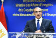 وزير الخارجية المصري: مصر تدعم سيادة الدول ووحدتها الترابية