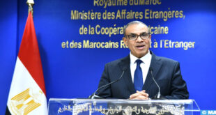 وزير الخارجية المصري: مصر تدعم سيادة الدول ووحدتها الترابية