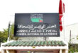 اللجنة المؤقتة لتسيير قطاع الصحافة بالمغرب تعقد جمعيتها العمومية وتسلم تقريرا شاملا للحكومة