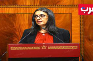 نادية فتاح العلوي: إصلاح التقاعد جاهز للتنزيل بعد مشاورات موسعة وتوافقات مرتقبة