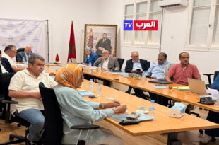 حسن سنتيسي الإدريسي : مستقبل الصناعات البحرية رهين بالابتكار وتثمين الموارد