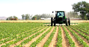 Par-alarabtv La petite et moyenne structure familiale concerne près de 7 millions de personnes, représentant 54% de la population agricole au Maroc, a indiqué, jeudi à Rabat, le ministre de l’Agriculture, de la Pêche maritime, du Développement rural et des Eaux et Forêts, Ahmed El Bouari.
