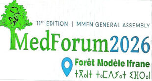 Ifrane accueille la 11ᵉ édition du Forum méditerranéen des forêts modèles : un rendez-vous international pour la durabilité forestière