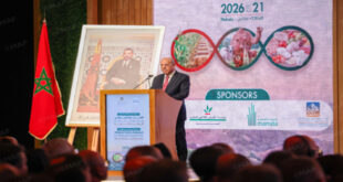 Maroc : une récolte céréalière prometteuse frôle les 90 millions de quintaux pour 2025-2026