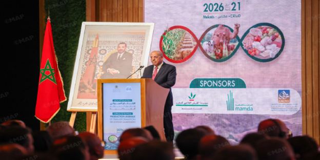 Maroc : une récolte céréalière prometteuse frôle les 90 millions de quintaux pour 2025-2026